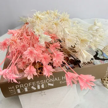 DIY Seco Eternelle Anis de Flores Secas Buquê de Flores do Casamento Casamento de Arranjo Floral,Fotografia, Fotos Decoração Quarto